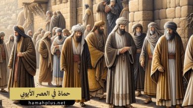 حماة في العصر الأيوبي