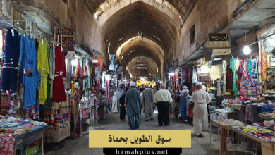 سوق الطويل بحماة