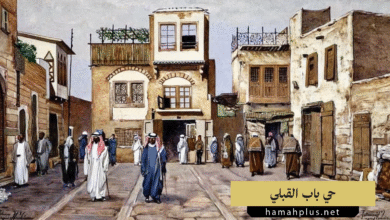 حي باب القبلي