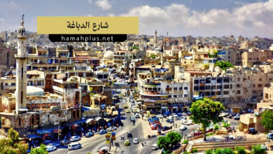 شارع الدباغة في حماة