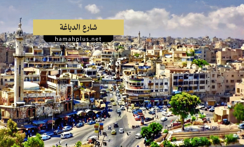شارع الدباغة في حماة