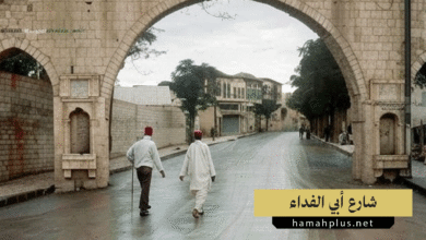 شارع أبي الفداء