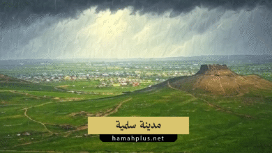 مدينة سلمية