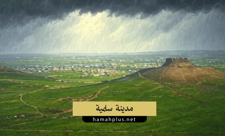 مدينة سلمية