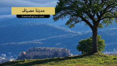 مدينة مصياف