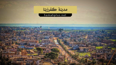 مدينة كفرزيتا