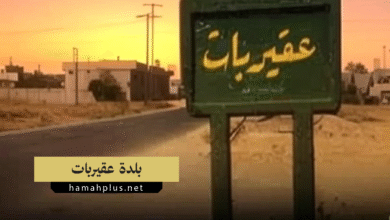 بلدة عقيربات