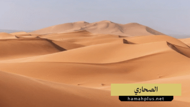 الصحاري