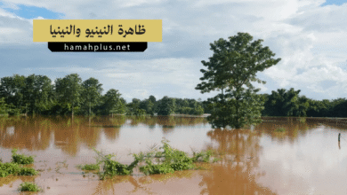 ظاهرة النينيو والنينيا