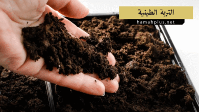 التربة الطينية