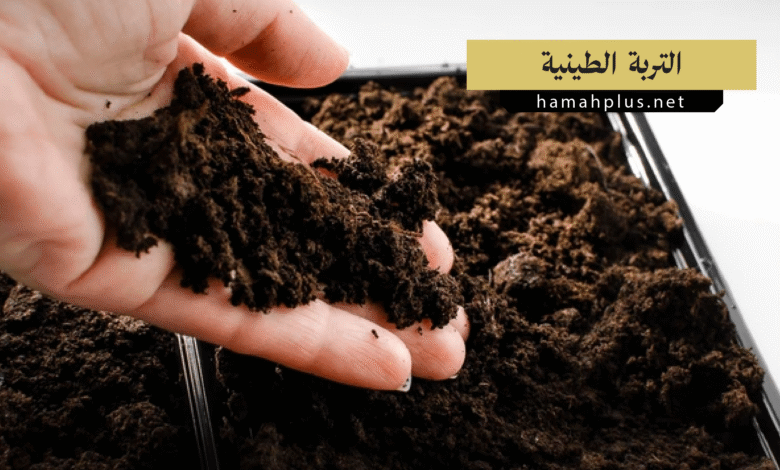 التربة الطينية