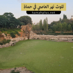 تلوث نهر العاصي بحماة