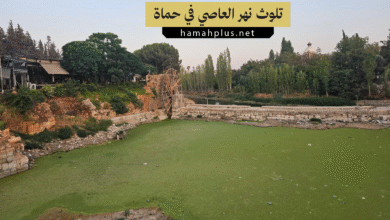 تلوث نهر العاصي بحماة