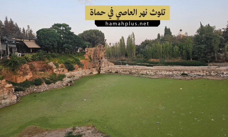 تلوث نهر العاصي بحماة