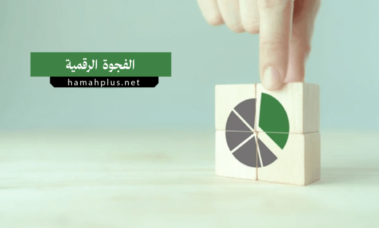 الفجوة الرقمية