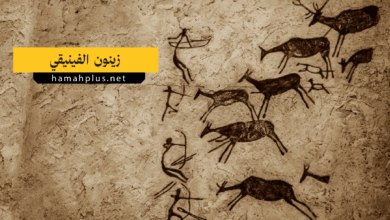 زينون الفينيقي