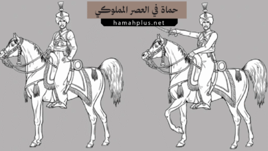 حماة في العصر المملوكي