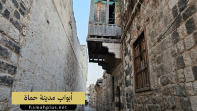أبواب مدينة حماة
