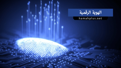 الهوية الرقمية