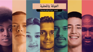 الفرق بين العولمة والمحلية