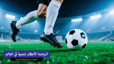 كرة القدم