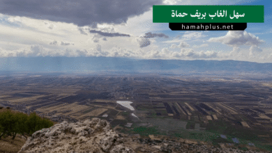 سهل الغاب بريف حماة