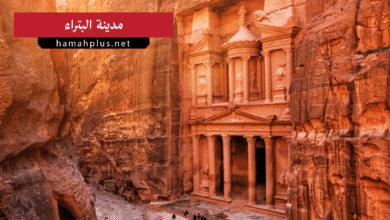 البتراء