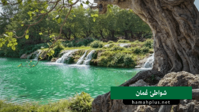 شواطئ عمان