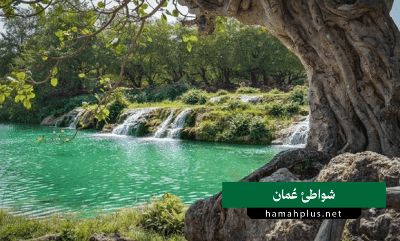 شواطئ عمان