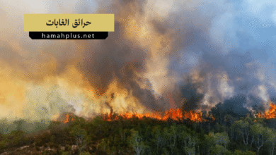 حرائق الغابات