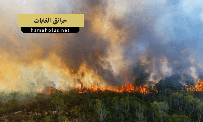 حرائق الغابات