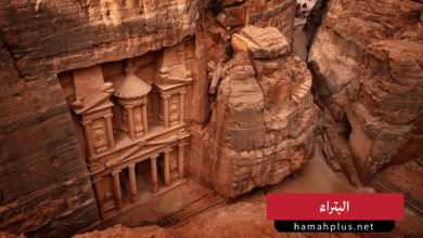 البتراء