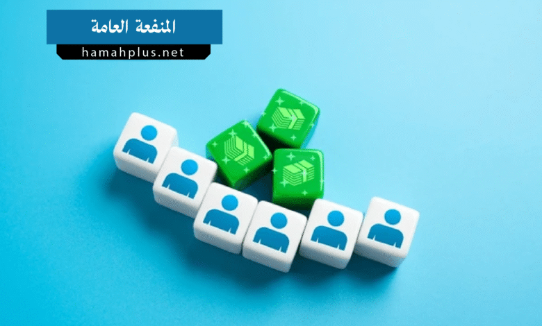 المنفعة العامة Public Benefit