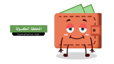 المحفظة الكسولة