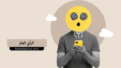 الرأي العام