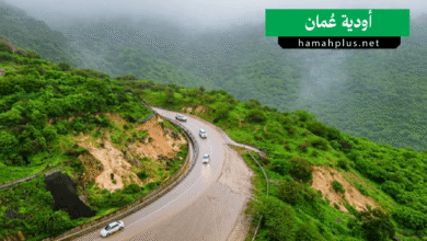 أودية عُمان