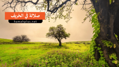 صلالة في الخريف