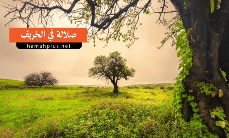 صلالة في الخريف