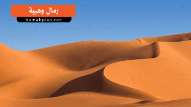 رمال وهيبة