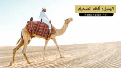 الهمبل: أنغام الصحراء