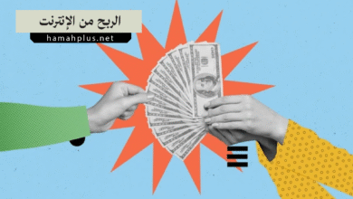 الربح من الإنترنت