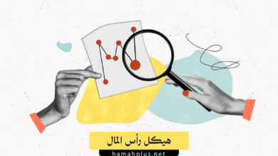 هيكل رأس المال - Capital Structure