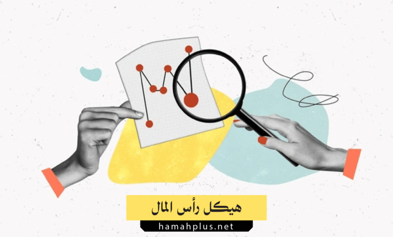 هيكل رأس المال - Capital Structure