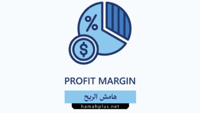 هامش الربح - Profit Margin