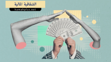 الشفافية المالية - Financial Transparency