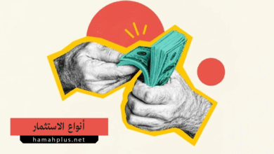 أنواع الاستثمار