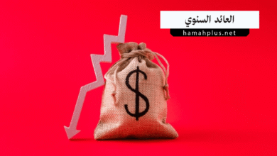 العائد السنوي - Annual Return