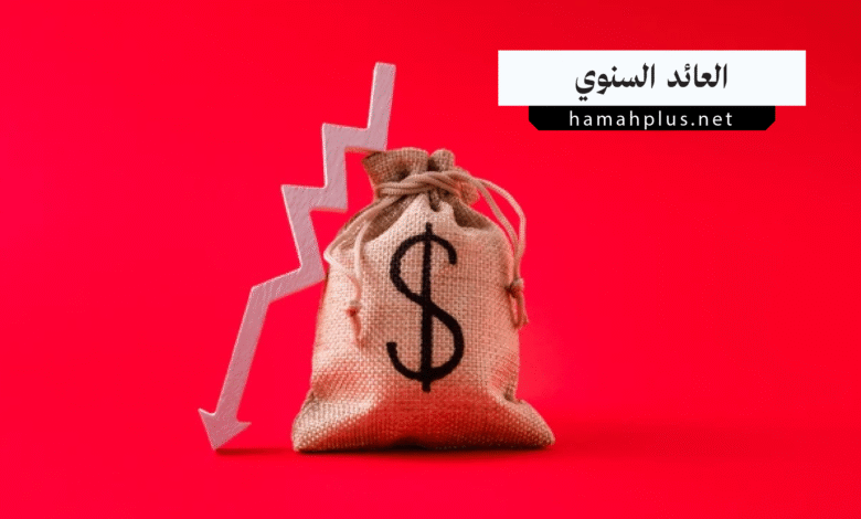 العائد السنوي - Annual Return