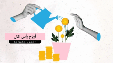 أرباح رأس المال - Capital Gains