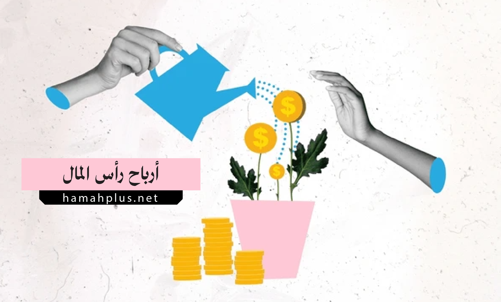 أرباح رأس المال - Capital Gains